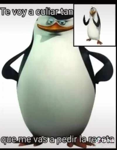 El famdon de belcee cada que ven a belcee minita: