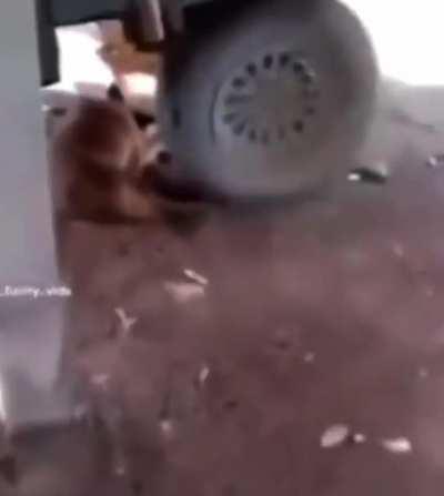 He was not happy to be woken up like that