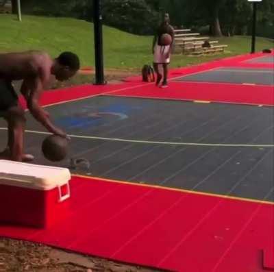 Squirrel wants to play basketball