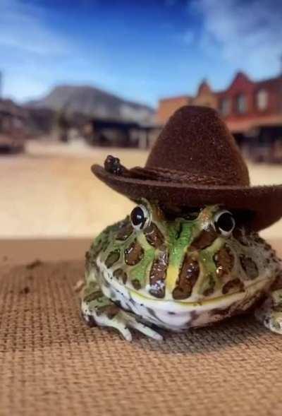 Froggy Cowboy