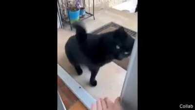 Get your hand out of my face!