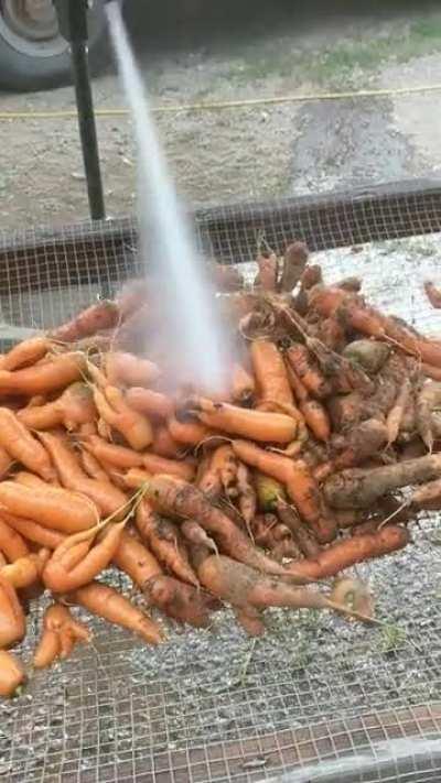 I feel like this belongs here.