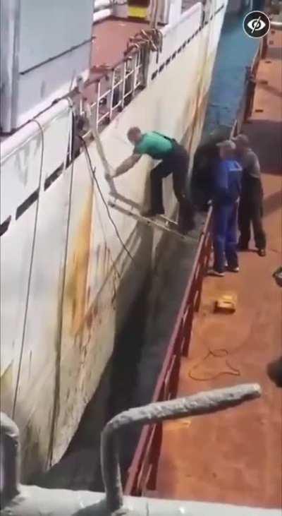 Not considering load, anchor and joints of the ladder