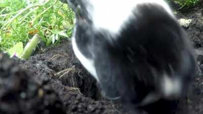 Someone's been busy!