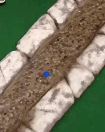 Mini golf shot of a lifetime