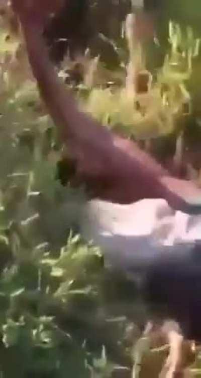 Fish knock out the fisherman.