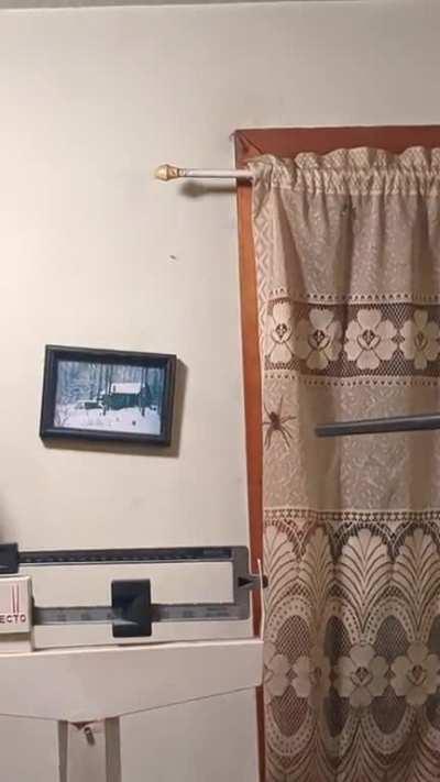 Evening Tarantula 🅱️op 