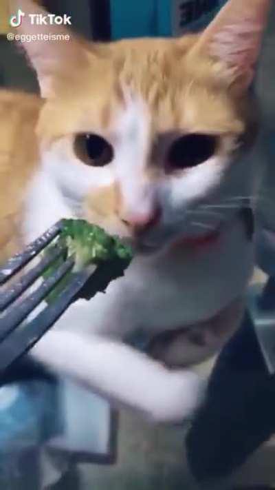 Almost puked his insides!