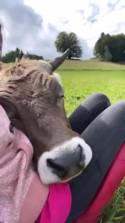 Love you to the Moon and back 🌜 🐮