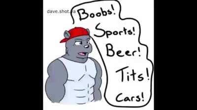 Furry Hétero VS Gay ao som de Transformers