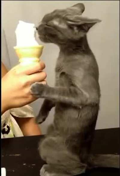 He who loves Ice cream.