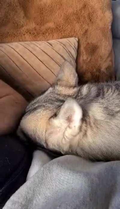 when it's just to early