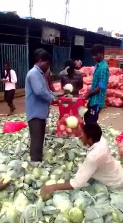 AI & robots won't replace them!