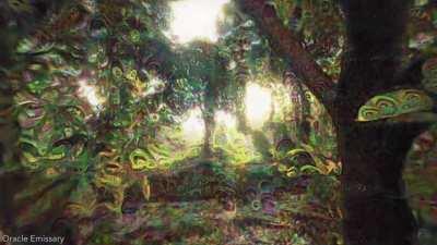 First DMT attempt (I have no knowledge of 3D animation 😂)