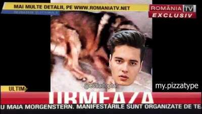 giuvaierpolitistul - Video #8432