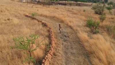 SHE GOT ANCHORS ON HER CHEST