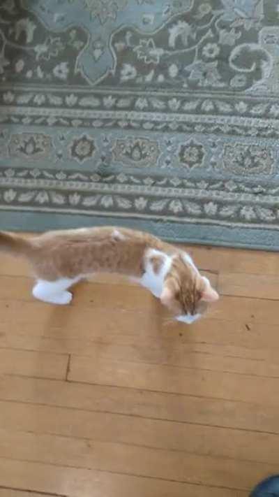 Gone for 5 min or 5 hours the hello is always the same