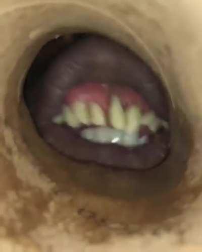 What the last Pringle in the can sees