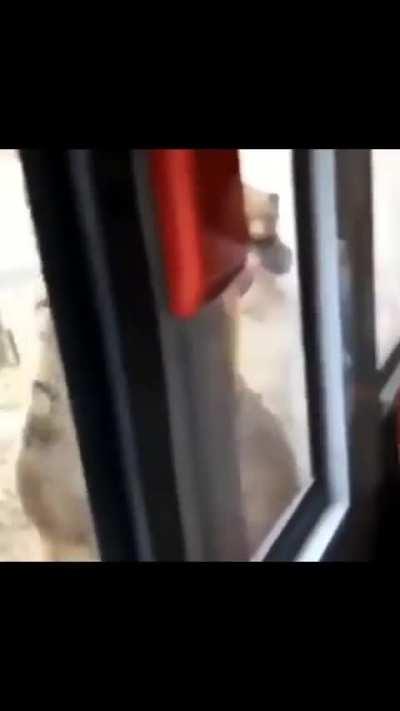 Oh is a freddy fazbear