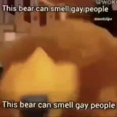 Gay