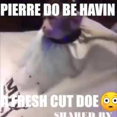 video #2 longer but has storyline