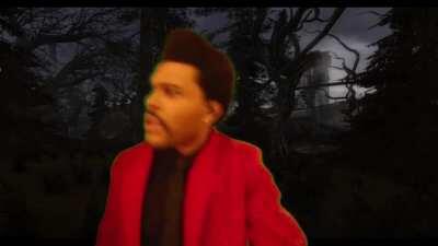 Looking for cover that isn't heavily irradiated in red forest be like