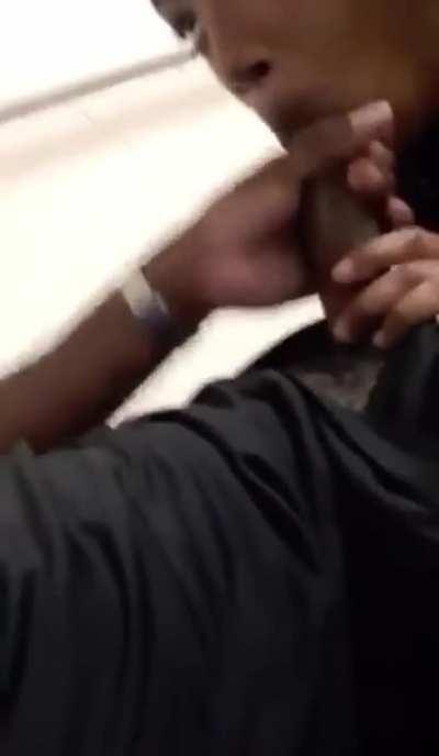 Caught a nut in the staircase