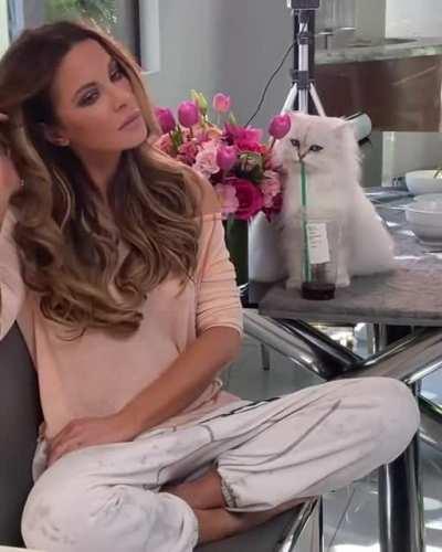 Кэйт Бекинсэйл и её Котик