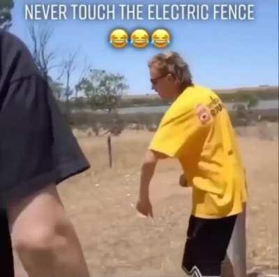 Electric fence