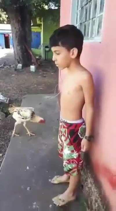 Eu não tenho medo de vc SAFADO