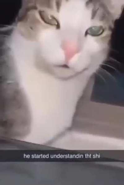 Blud got flabbergasted ð­ð­ð­