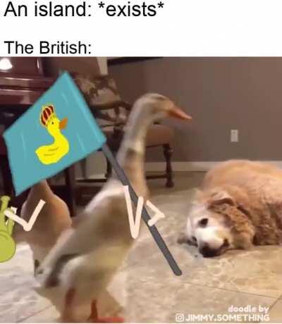 It's our island now!