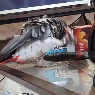 It ain't much, but it's honest work