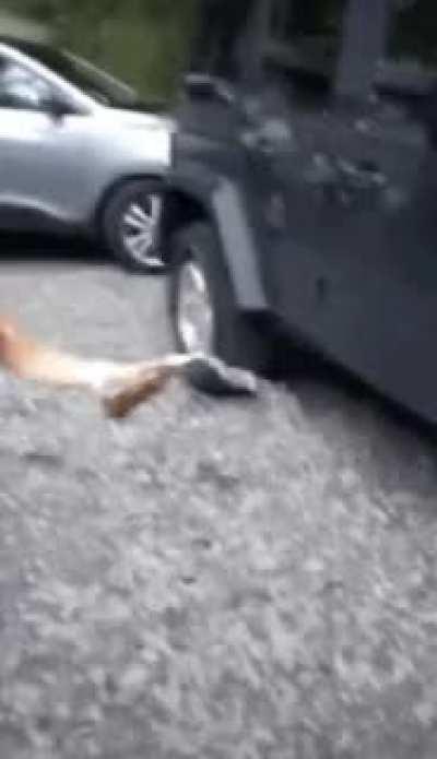 HMC as I introduce beersketball