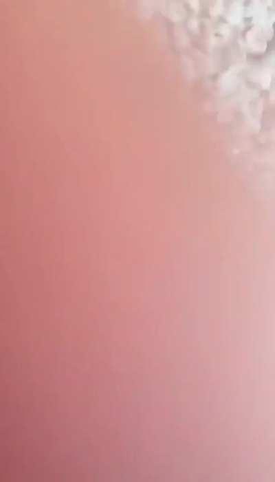 Guy gets hit by train while trying to film a tiktok