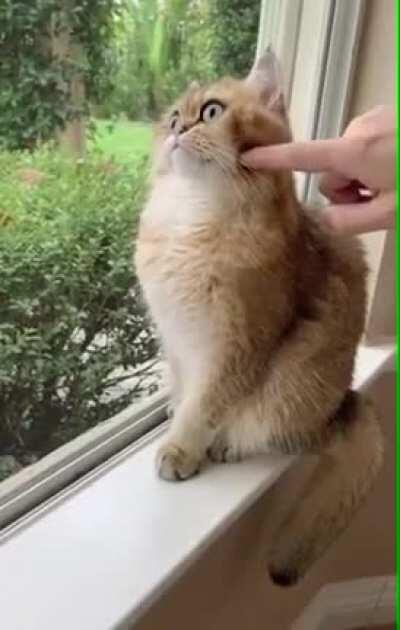 MUST NOT REACT! MUST STAY FOCUSED!