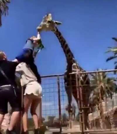 He could be a little quicker