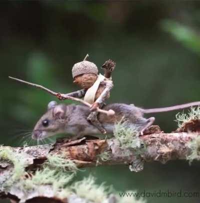 Микромир. (Фото)