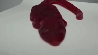 peet rat goomie candieeeee