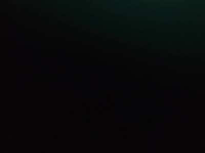 Sharks in Norway 🇳🇴