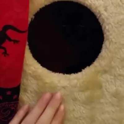 Sometimes when you tap the void it taps back.