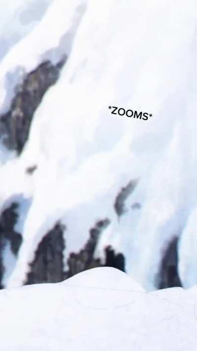 The word of the day is cardio. Apparently you need that just to survive the Pokémon world.