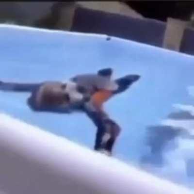 No, your screen isn't frozen