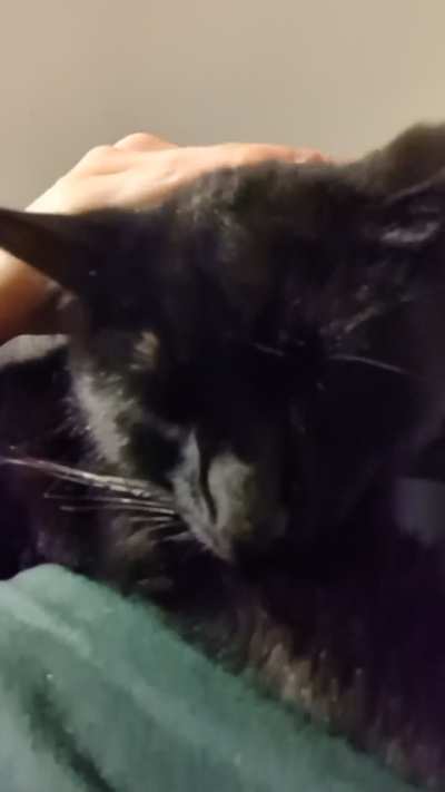 Covering his whole head in my big hands 😂