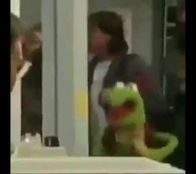 kermit