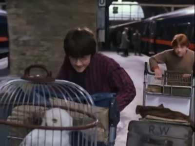 Live footage of Stroll and Giovinazzi at turn 15