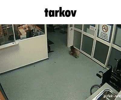 masochist russian rp battle royale