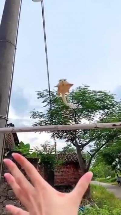 That is way too cute!