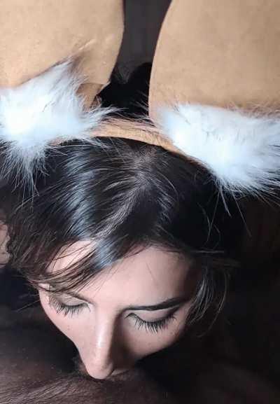 Helping Lola Bunny With Her Toon Squad Application 