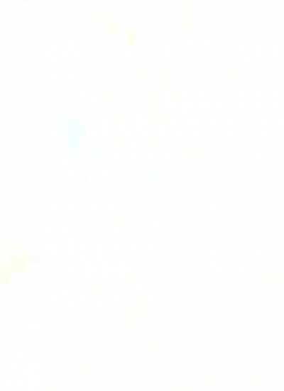 Summer Tamamo Animation